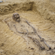 A partially excavated skeleton.